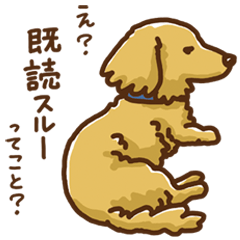??????????