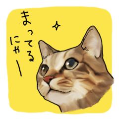 ???????????