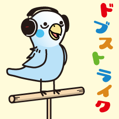 ?????????????????