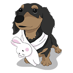 Cute Dachshund!!