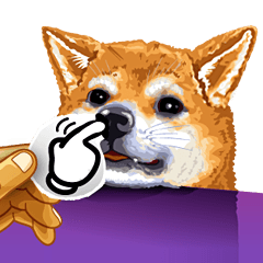 Mimo The Dog
